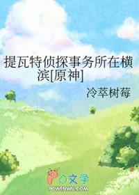 完美陷阱英文